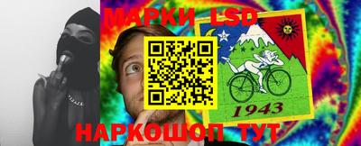 стафф Можга
