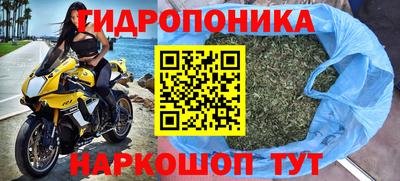 стафф Мирный