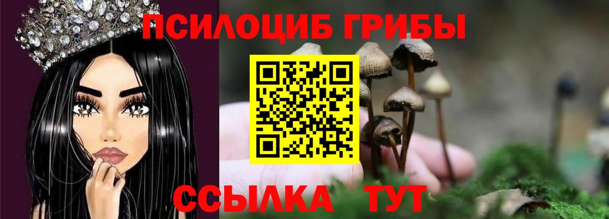Псилоцибиновые грибы GOLDEN TEACHER  Вход с VPN  Галлюциногенные грибы Cubensis  Хасавюрт 