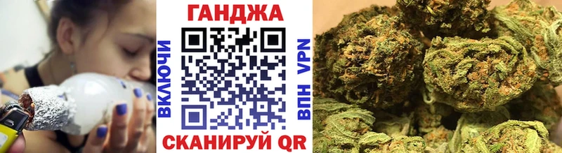 Конопля гибрид  Хасавюрт 