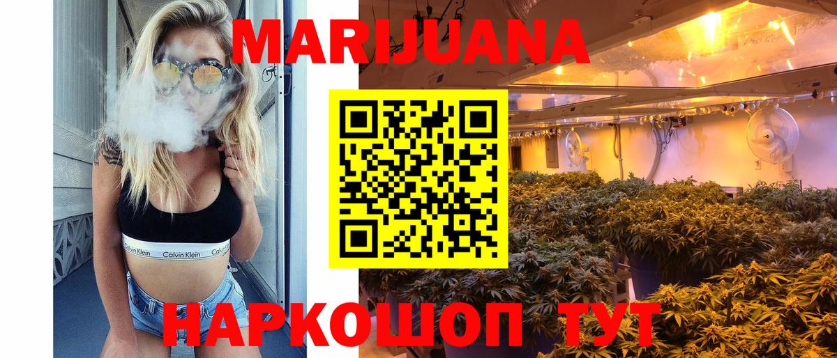 Хасавюрт  Бошки Шишки сатива  Вход с VPN  Каннабис планчик  Марихуана тримм 